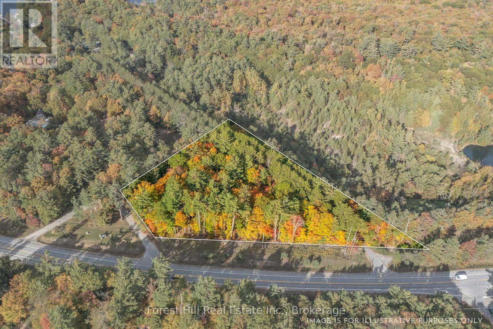 3864 Highway 118 W, Muskoka Lakes, Ontario P0B 1J0 - Photo 3 - X12677892