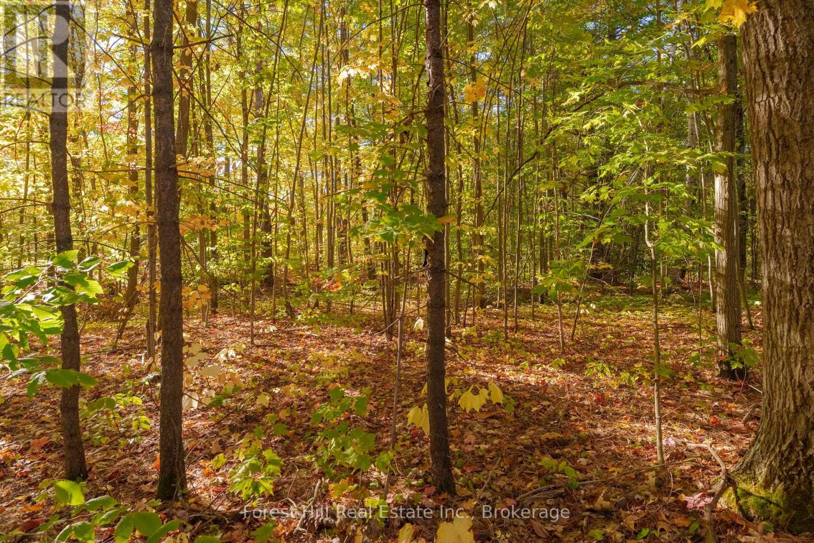 3864 Highway 118 W, Muskoka Lakes, Ontario P0B 1J0 - Photo 30 - X12677892