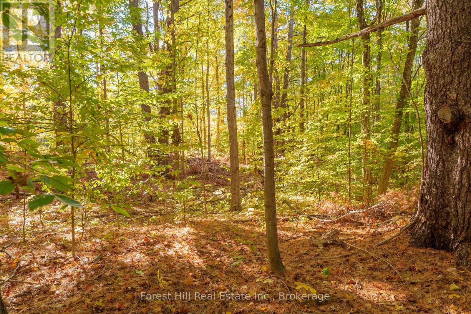 3864 Highway 118 W, Muskoka Lakes, Ontario P0B 1J0 - Photo 31 - X12677892