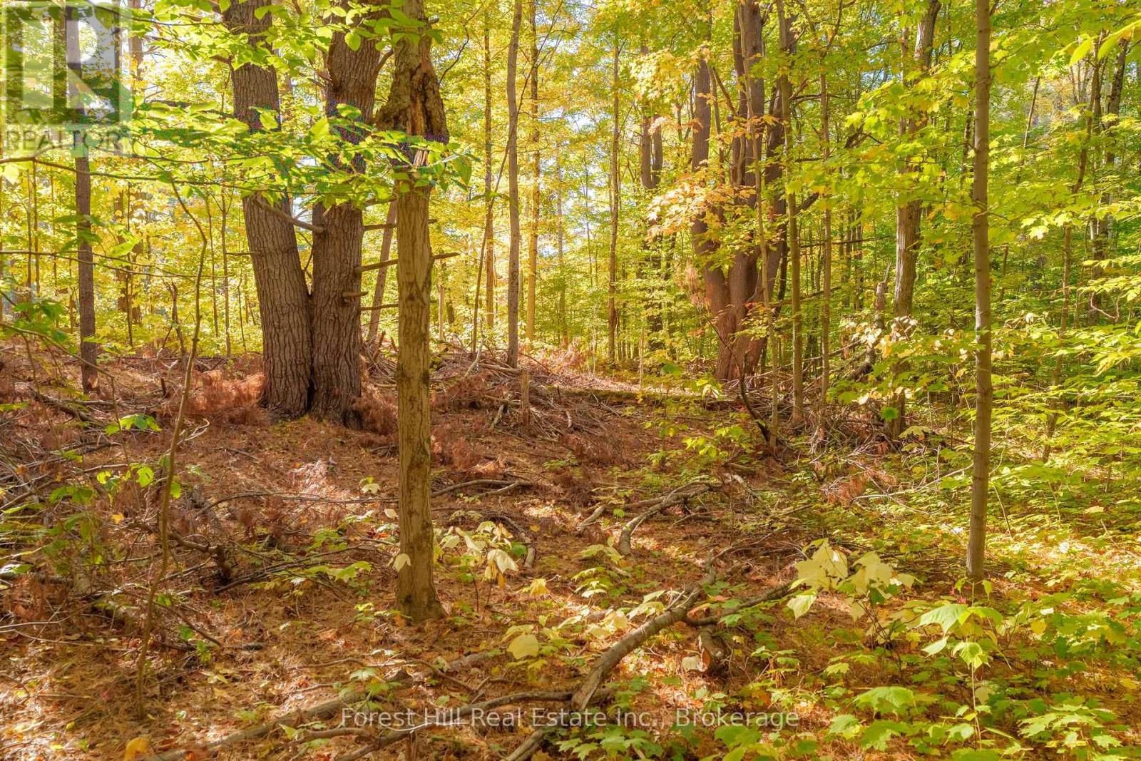 3864 Highway 118 W, Muskoka Lakes, Ontario P0B 1J0 - Photo 32 - X12677892