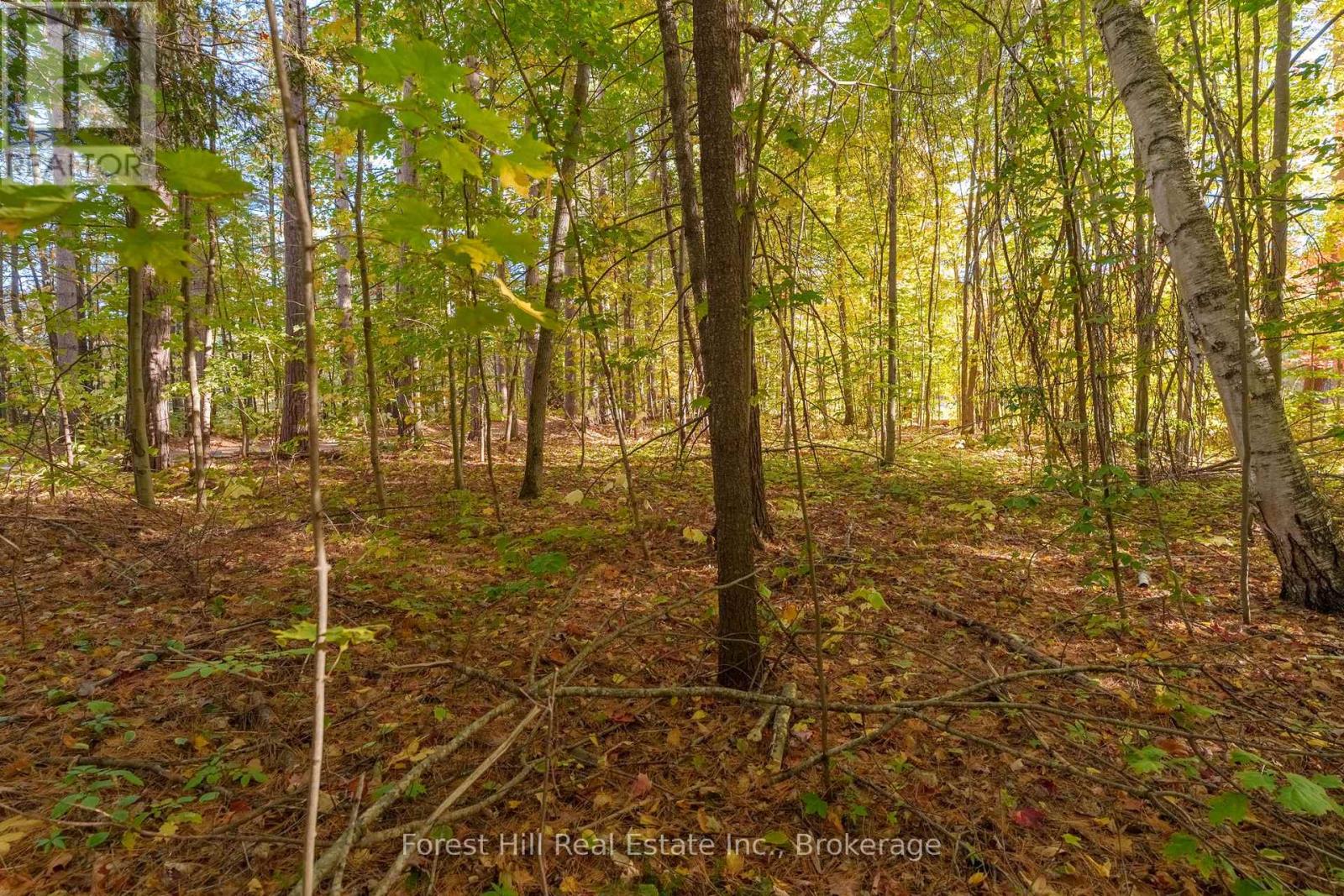 3864 Highway 118 W, Muskoka Lakes, Ontario P0B 1J0 - Photo 33 - X12677892