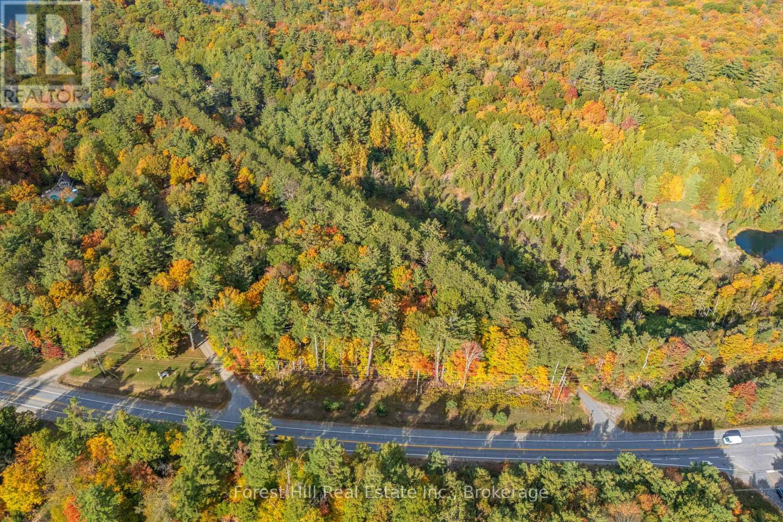 3864 Highway 118 W, Muskoka Lakes, Ontario P0B 1J0 - Photo 4 - X12677892