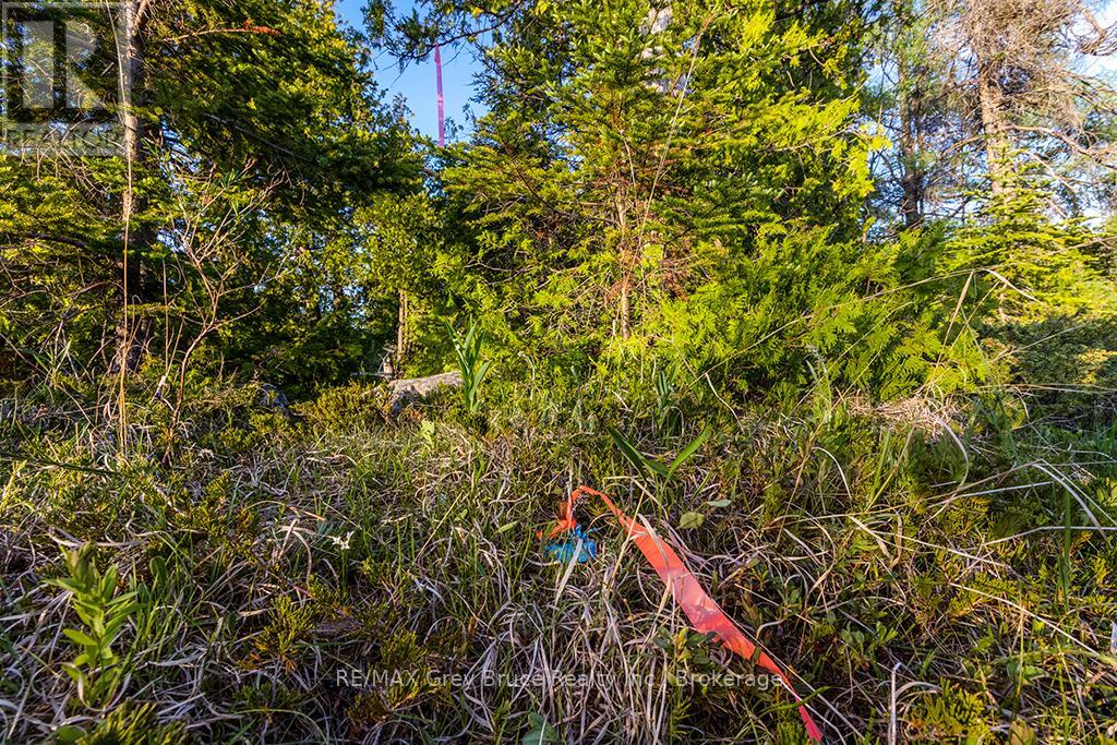 Unit 39 Tamarac Road, Northern Bruce Peninsula, Ontario  N0H 2M0 - Photo 16 - X12677946