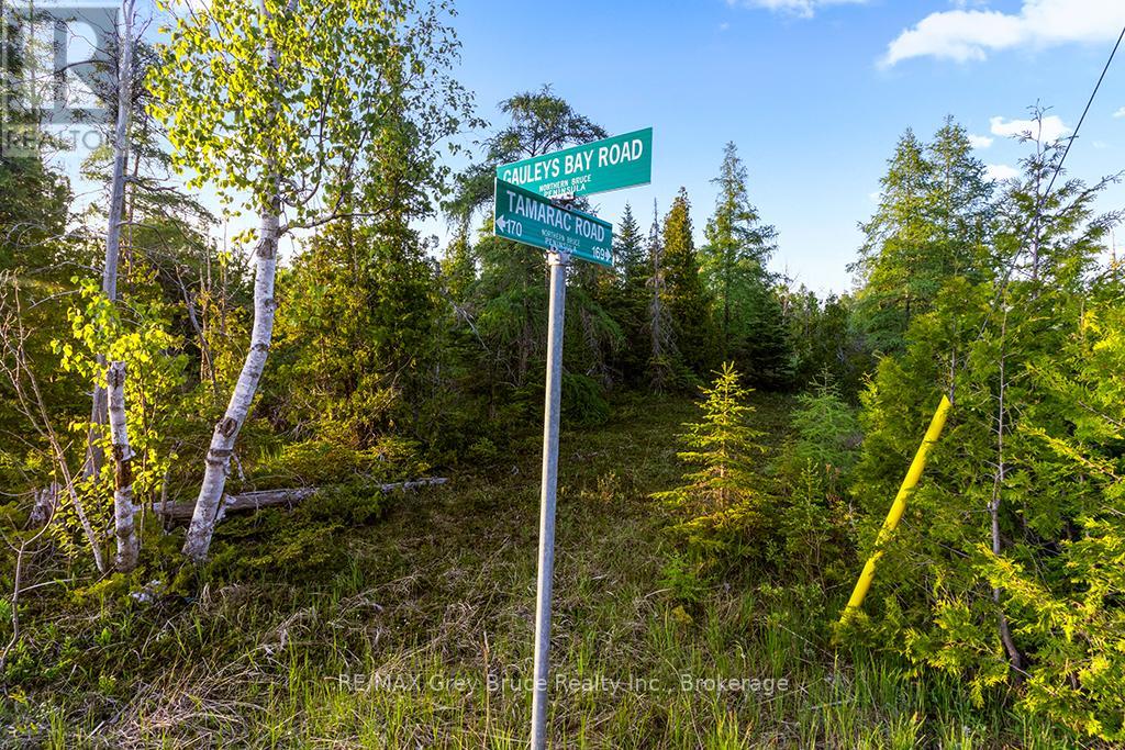 Unit 39 Tamarac Road, Northern Bruce Peninsula, Ontario  N0H 2M0 - Photo 17 - X12677946