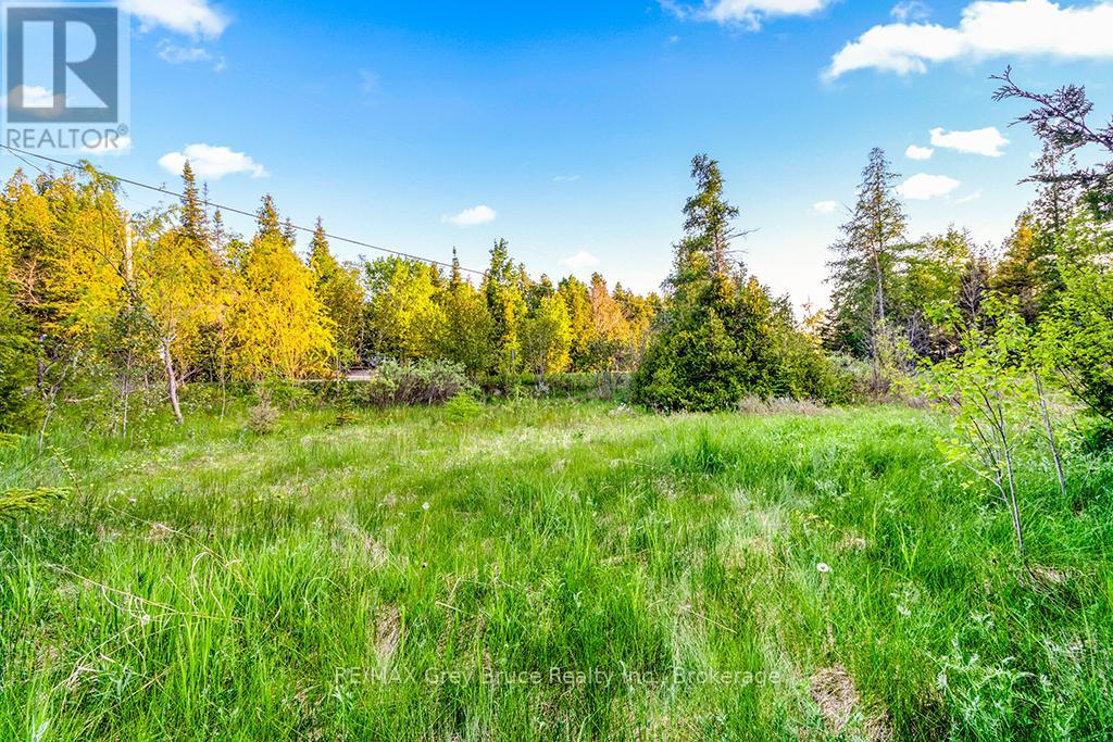 Unit 39 Tamarac Road, Northern Bruce Peninsula, Ontario  N0H 2M0 - Photo 20 - X12677946