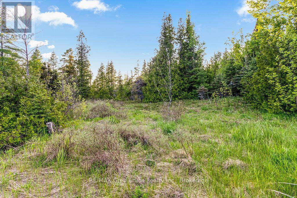 Unit 39 Tamarac Road, Northern Bruce Peninsula, Ontario  N0H 2M0 - Photo 21 - X12677946