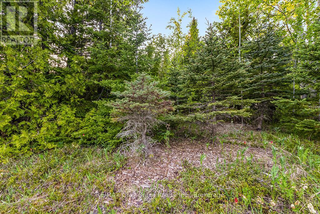 Unit 39 Tamarac Road, Northern Bruce Peninsula, Ontario  N0H 2M0 - Photo 22 - X12677946