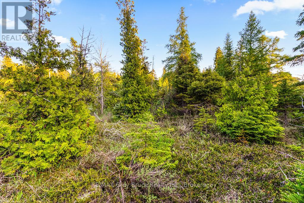 Unit 39 Tamarac Road, Northern Bruce Peninsula, Ontario  N0H 2M0 - Photo 24 - X12677946