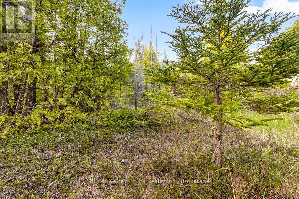 Unit 39 Tamarac Road, Northern Bruce Peninsula, Ontario  N0H 2M0 - Photo 26 - X12677946