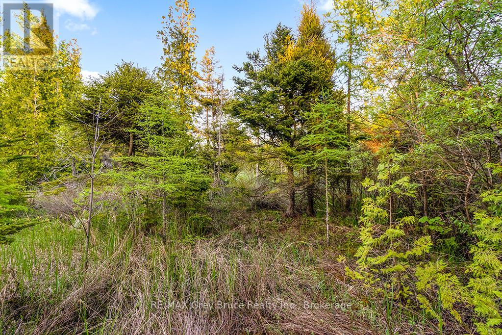 Unit 39 Tamarac Road, Northern Bruce Peninsula, Ontario  N0H 2M0 - Photo 27 - X12677946