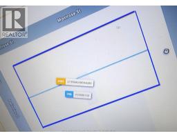 1311 & 1319 OUELLETTE, Windsor, Ontario