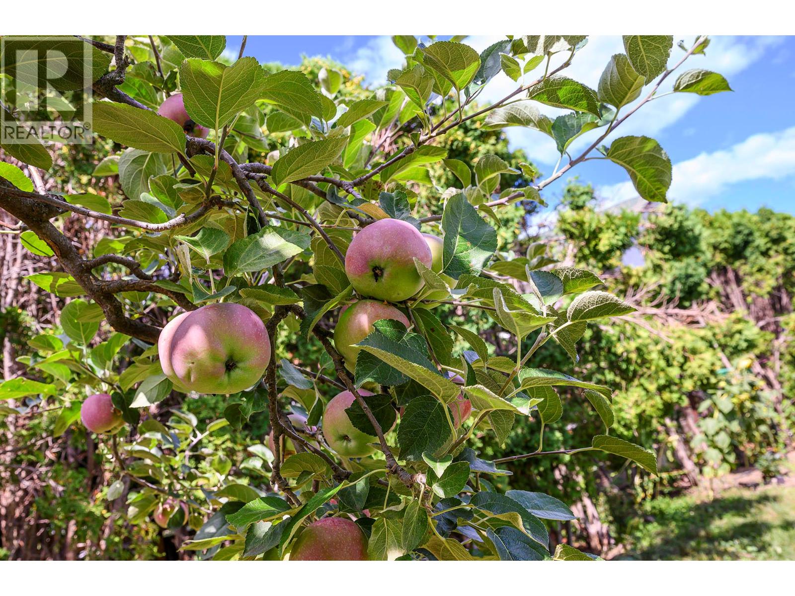 3576 Mountainview Place, Kamloops, British Columbia  V2B 7B4 - Photo 71 - 10372290