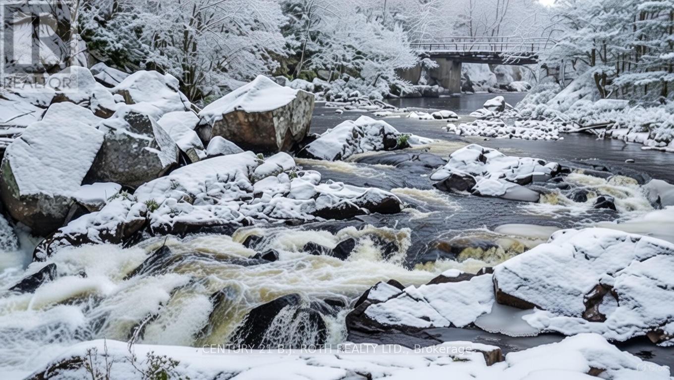 8101 Kings River Road, Ramara, Ontario  L0K 2B0 - Photo 2 - S12677860