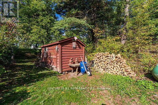 8101 Kings River Road, Ramara, Ontario  L0K 2B0 - Photo 33 - S12677860