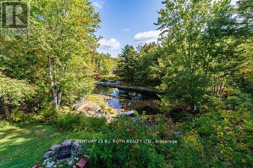 8101 Kings River Road, Ramara, Ontario  L0K 2B0 - Photo 38 - S12677860