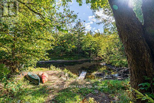 8101 Kings River Road, Ramara, Ontario  L0K 2B0 - Photo 39 - S12677860
