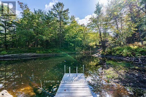 8101 Kings River Road, Ramara, Ontario  L0K 2B0 - Photo 40 - S12677860