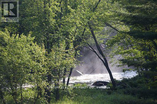 8101 Kings River Road, Ramara, Ontario  L0K 2B0 - Photo 46 - S12677860