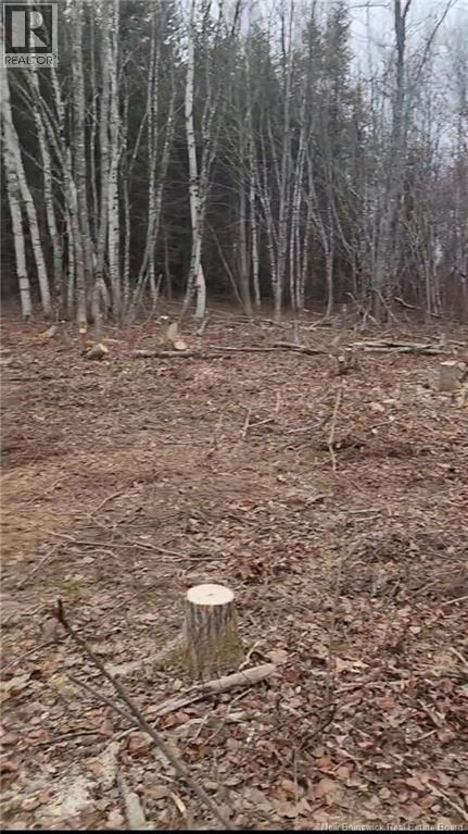 5701 Route 495, Saint-Fabien, New Brunswick  E4S 1Z1 - Photo 5 - NB131725