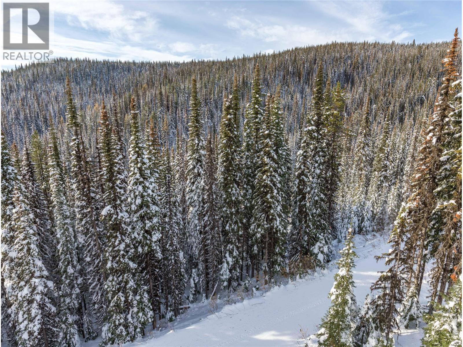 9966 Purcell Drive, Silver Star, British Columbia  V1B 0S1 - Photo 15 - 10372287