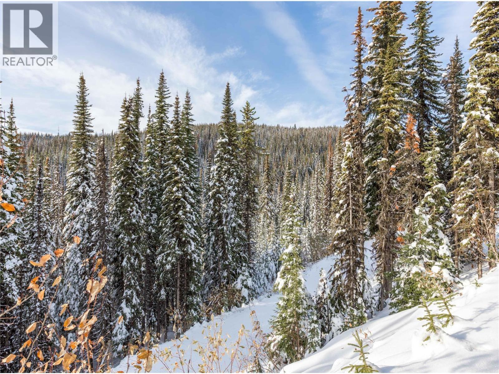 9966 Purcell Drive, Silver Star, British Columbia  V1B 0S1 - Photo 35 - 10372287