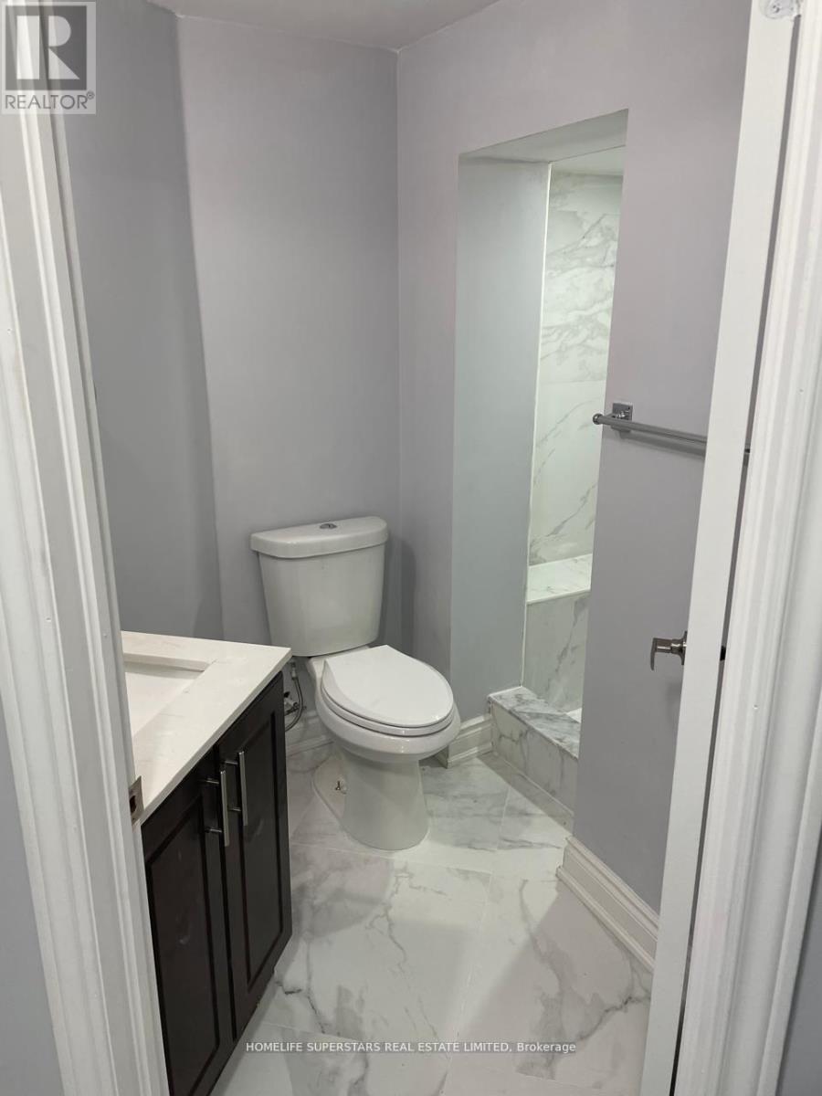 Walk Out Basement - 274 Oxbow Crescent, Mississauga, Ontario  L4Z 2S3 - Photo 12 - W12678006