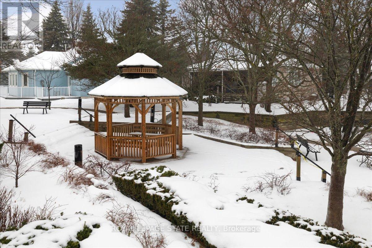 101 - 500 Silverbirch Boulevard, Hamilton, Ontario L0R 1W0 - Photo 43 - X12678294