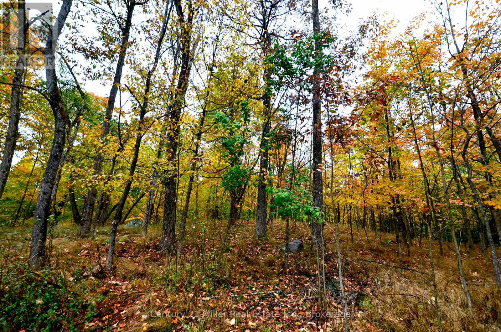1279 Carlingford Road, Muskoka Lakes, Ontario  P0B 1J0 - Photo 37 - X12633714