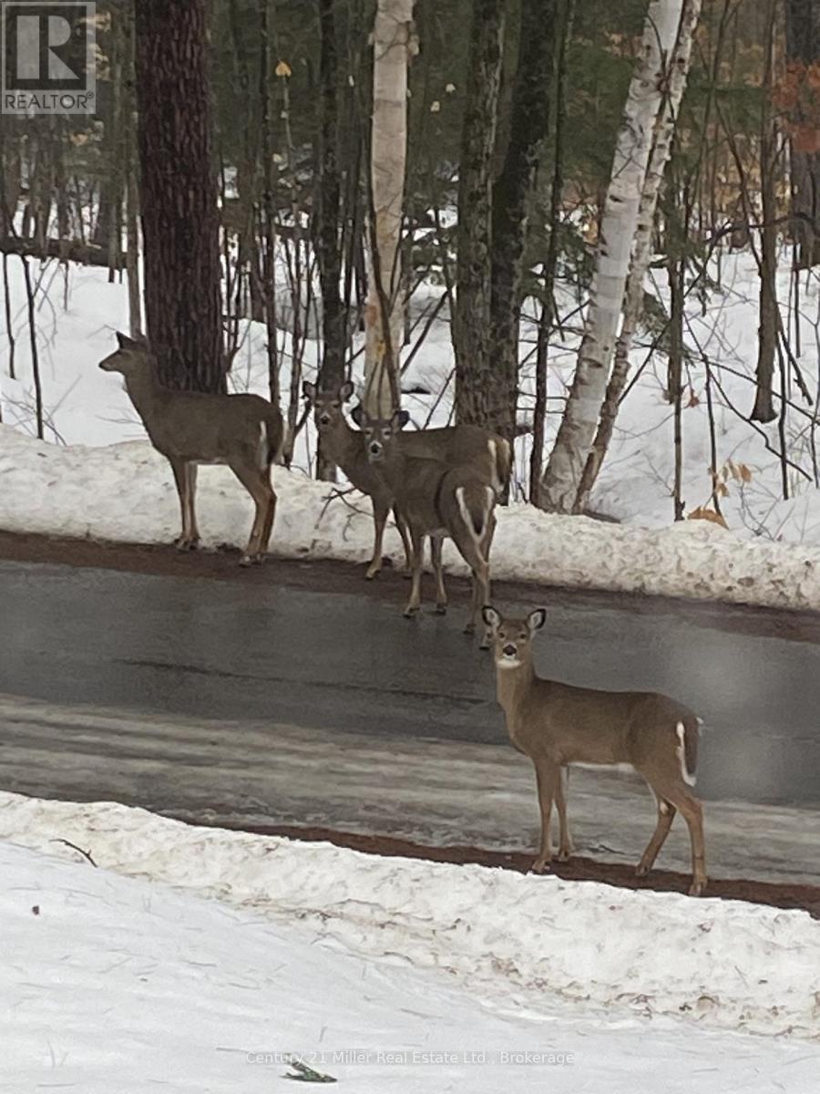 1279 Carlingford Road, Muskoka Lakes, Ontario  P0B 1J0 - Photo 36 - X12633714