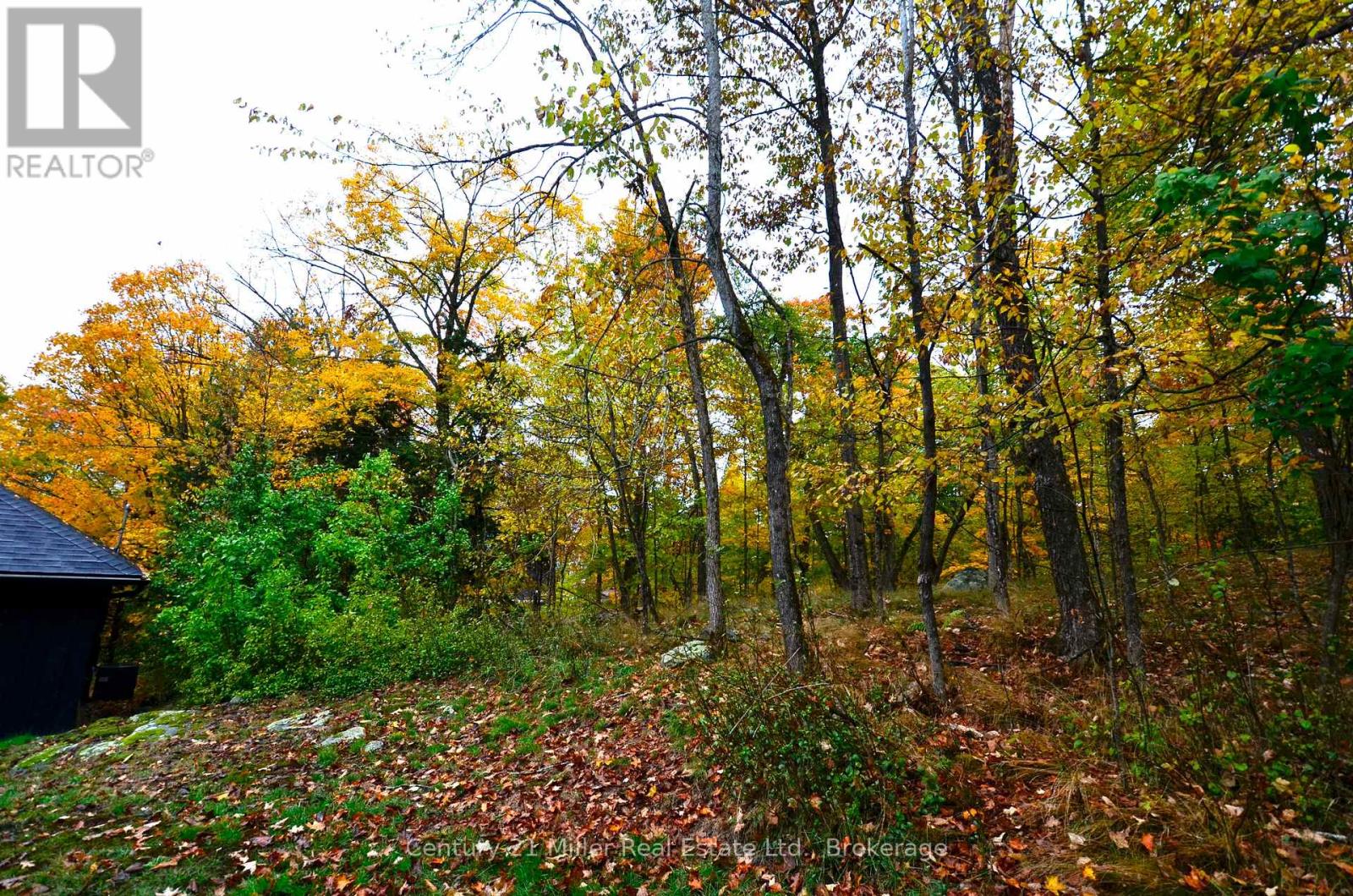 1279 Carlingford Road, Muskoka Lakes, Ontario  P0B 1J0 - Photo 38 - X12633714