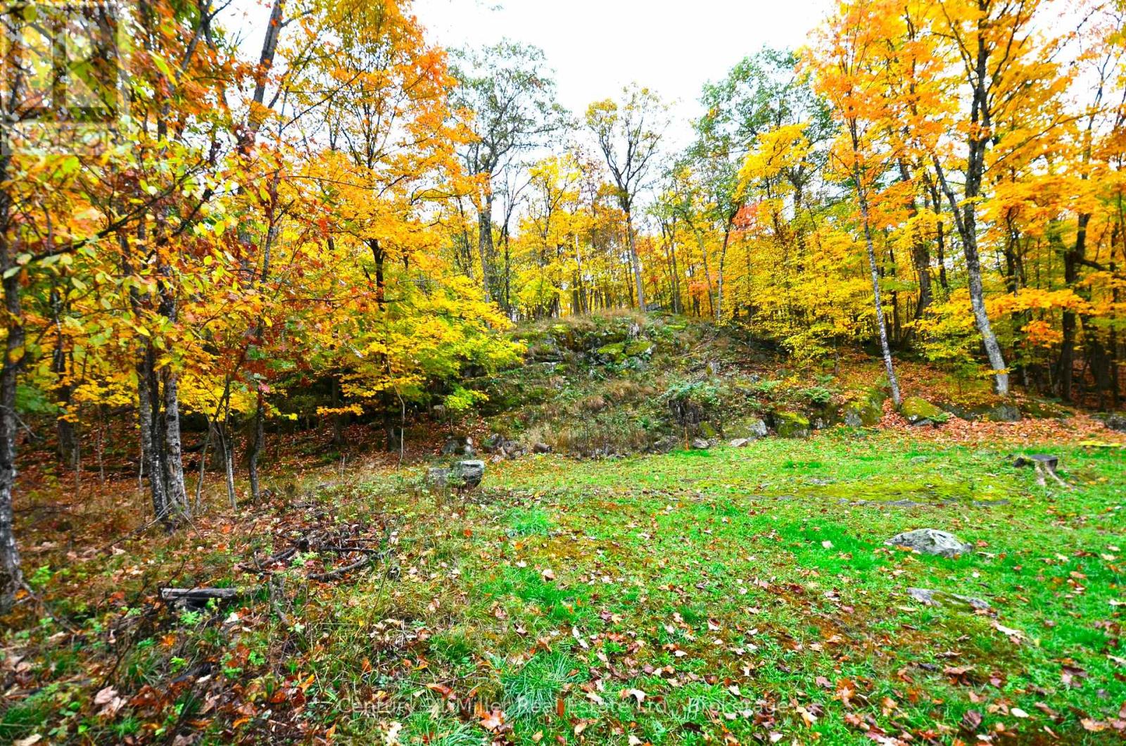 1279 Carlingford Road, Muskoka Lakes, Ontario  P0B 1J0 - Photo 39 - X12633714