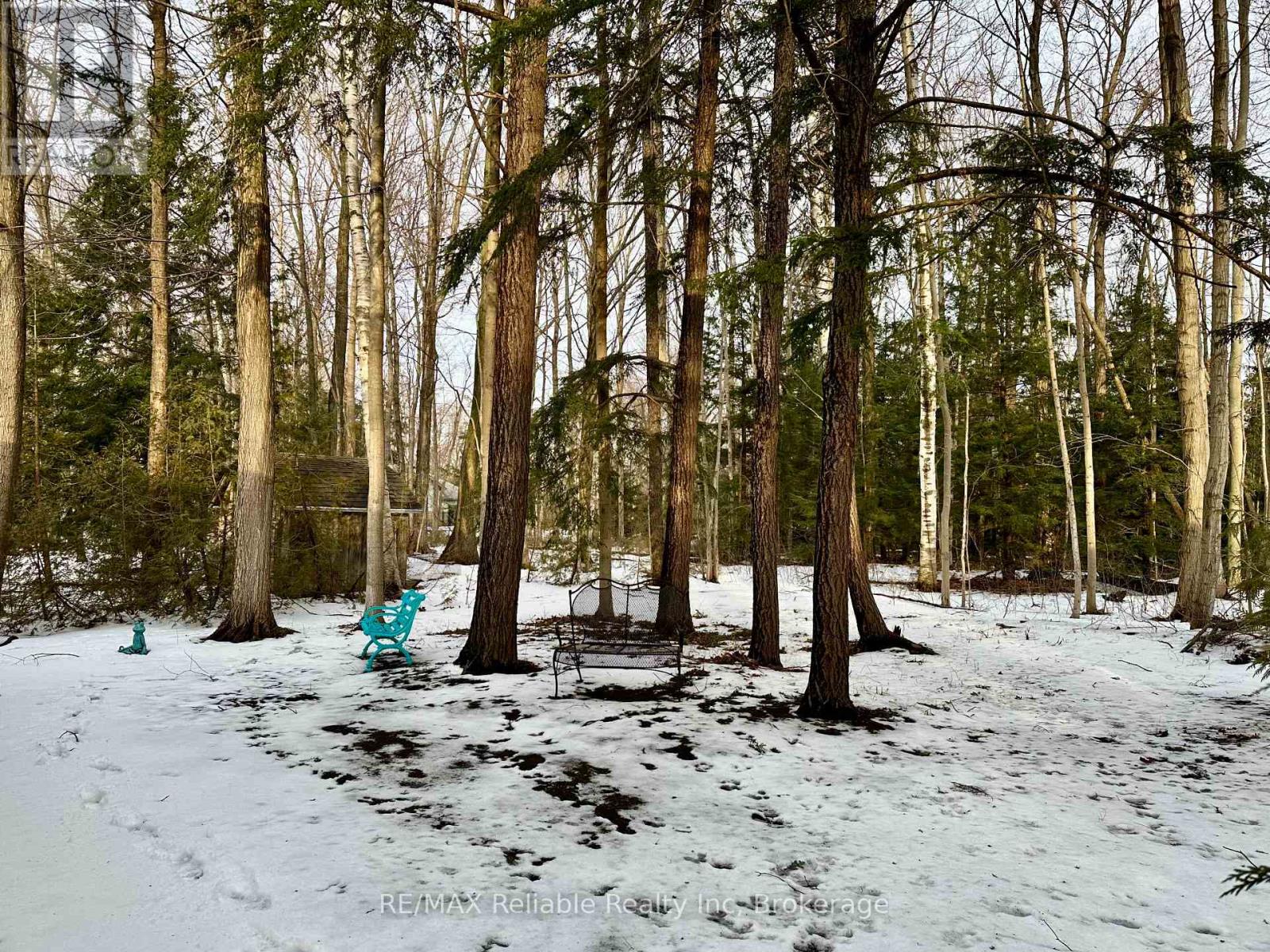 Photo 44 of 49 for 20 George Street