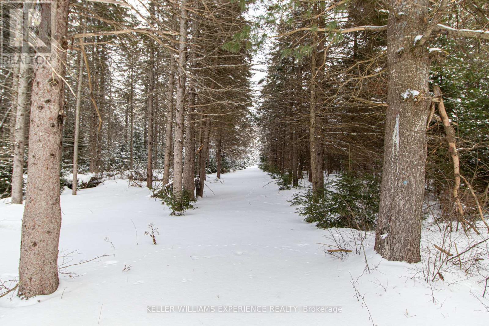 213 Yearley Road, Mcmurrich/monteith, Ontario  P0A 1Y0 - Photo 41 - X12678336