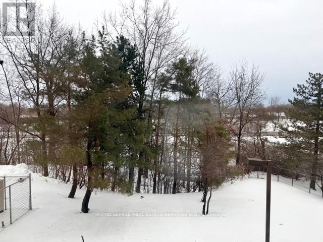 202 - 310 Mill Street S, Brampton, Ontario  L6Y 3B1 - Photo 21 - W12275570