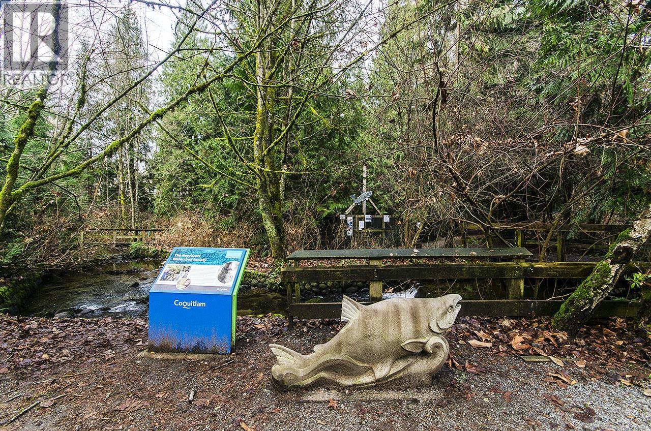 406 2975 Princess Crescent, Coquitlam, British Columbia  V3B 7N3 - Photo 24 - R3075671