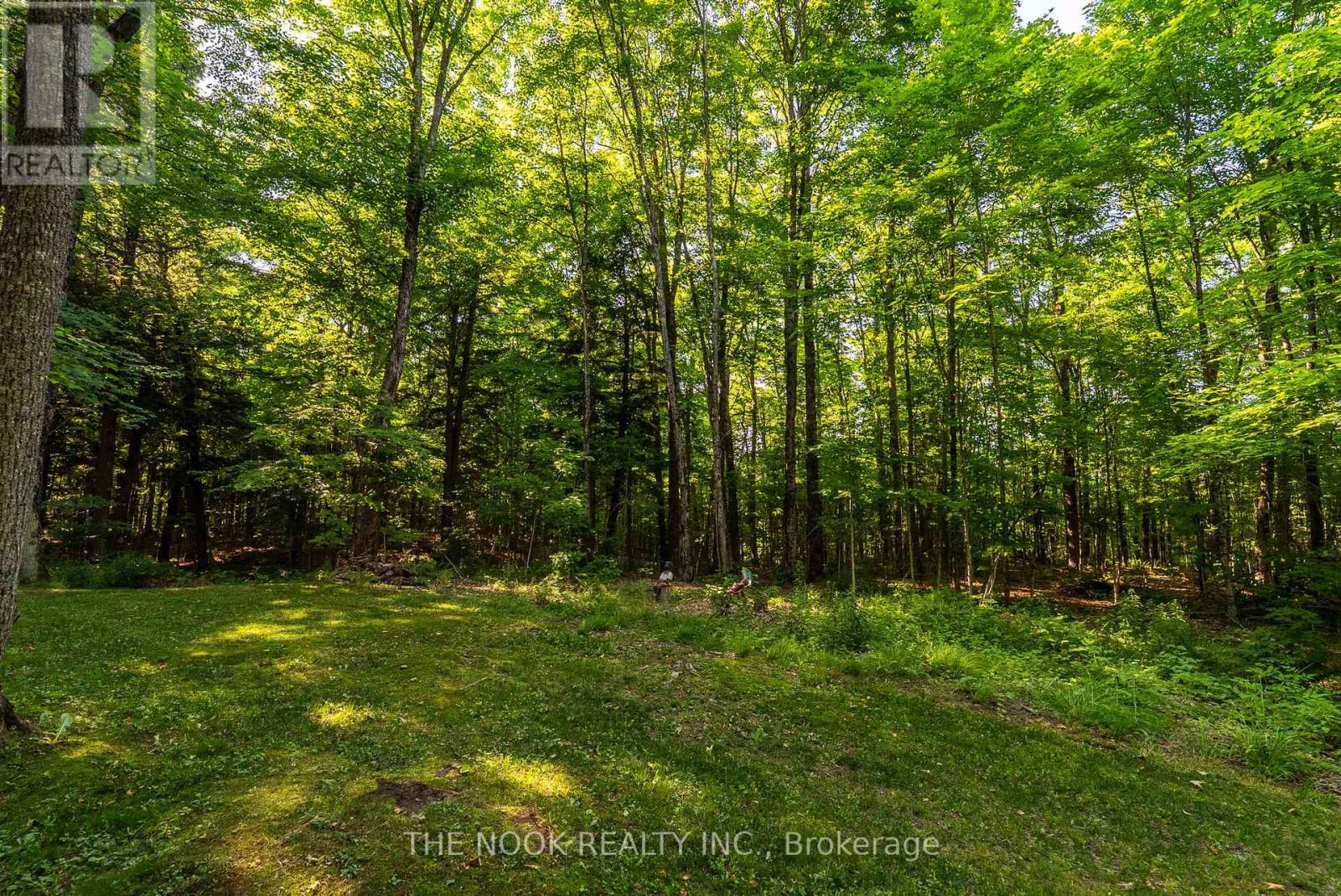 12482 Highway 28 Road, North Kawartha, Ontario  K0L 1A0 - Photo 26 - X12678552