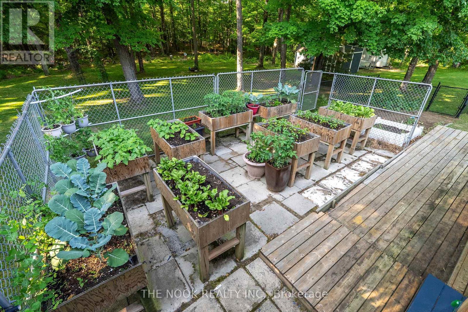 12482 Highway 28 Road, North Kawartha, Ontario  K0L 1A0 - Photo 29 - X12678552