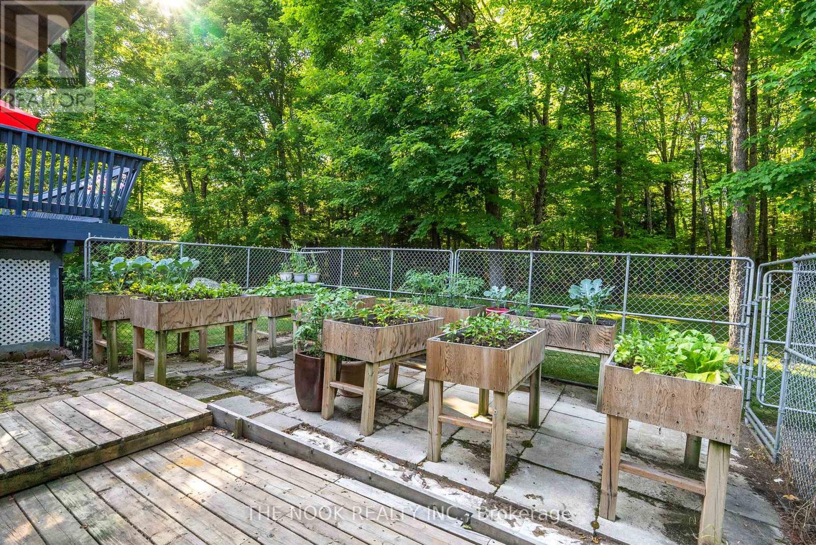 12482 Highway 28 Road, North Kawartha, Ontario  K0L 1A0 - Photo 31 - X12678552