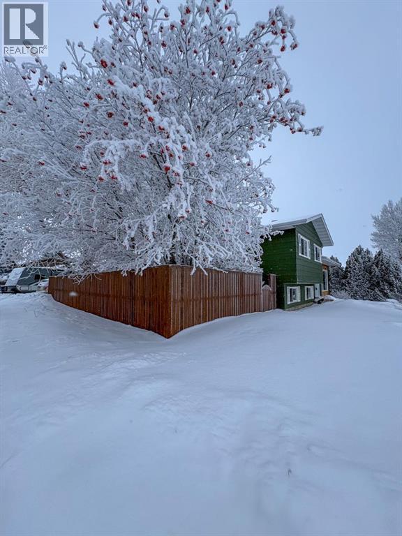 4202 71 Street, Camrose, Alberta  T4V 3Z4 - Photo 24 - A2276463