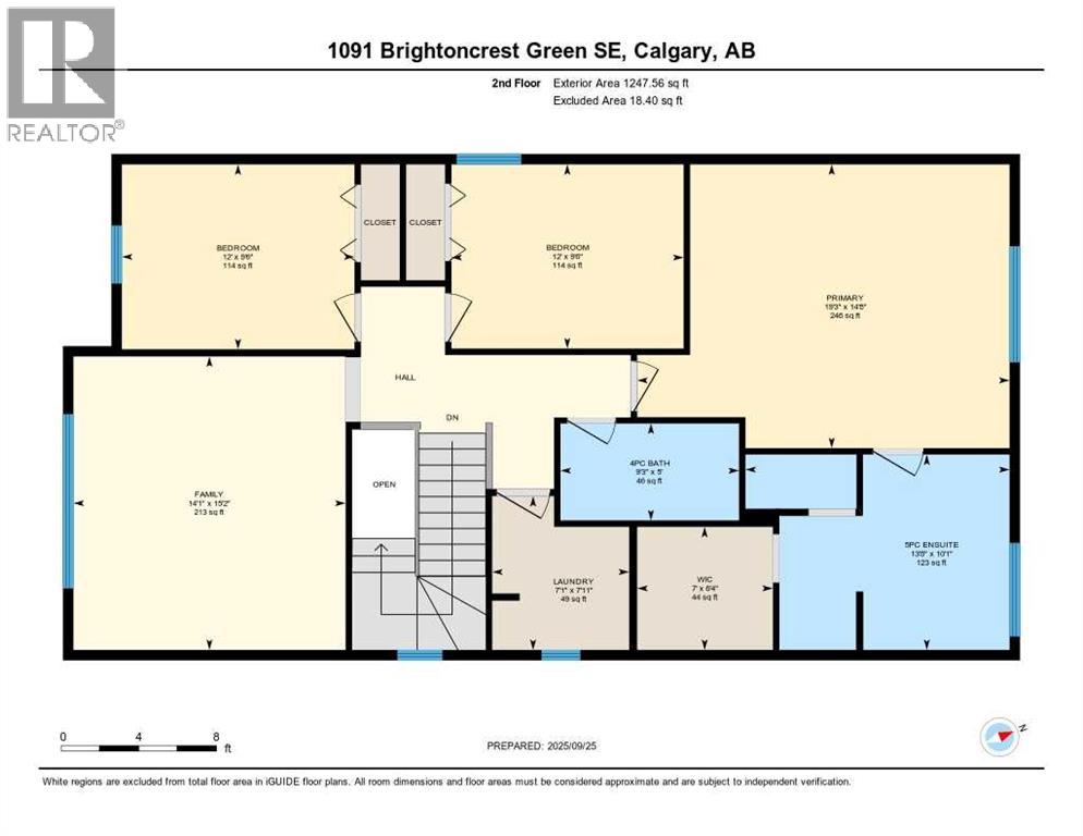 1091 Brightoncrest Green Se, Calgary, Alberta  T2Z 1G8 - Photo 48 - A2277869