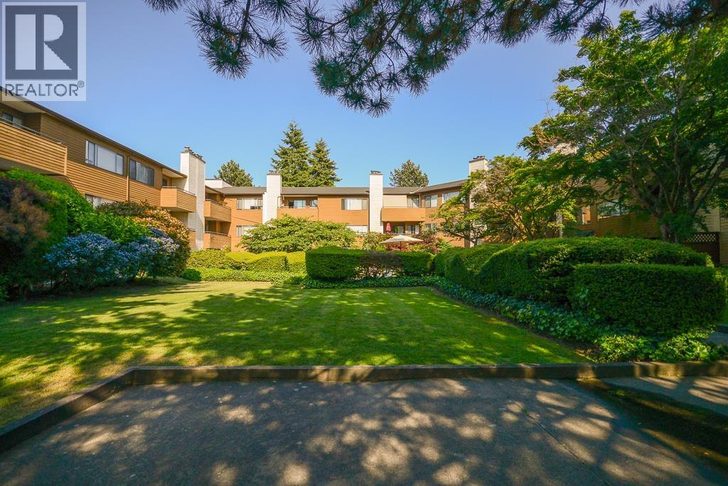 263 7293 Moffatt Road, Richmond, British Columbia V6Y 3E4 - Photo 4 - R3077619