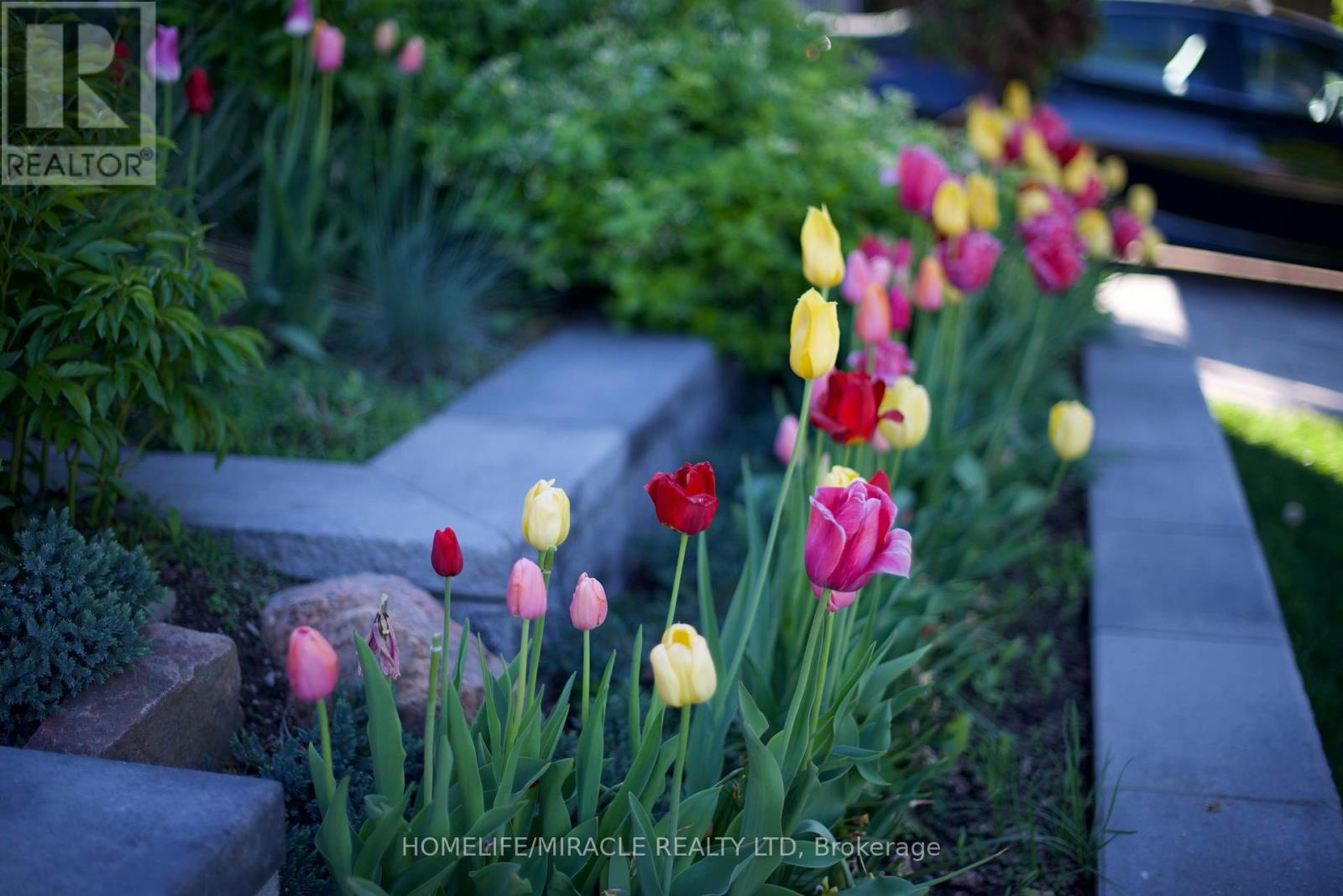 Main - 222 Cass Avenue, Toronto, Ontario  M1T 2C4 - Photo 5 - E12670188