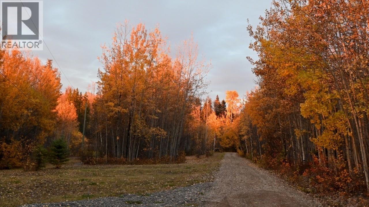 28502 Fawcett Road, Fort Fraser, British Columbia  V0J 1N0 - Photo 6 - R3077508