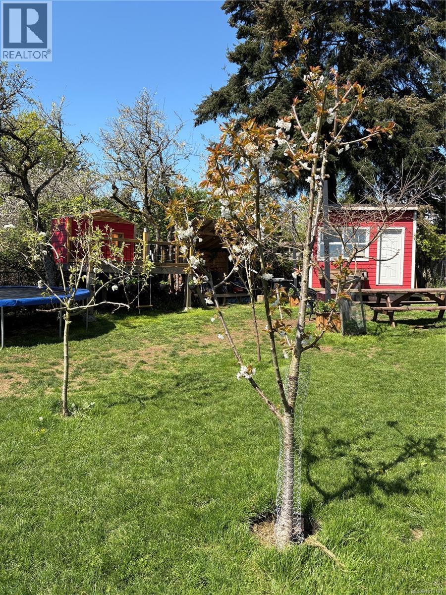 6716 Ayre Rd, Sooke, British Columbia  V9Z 0H1 - Photo 26 - 1013137