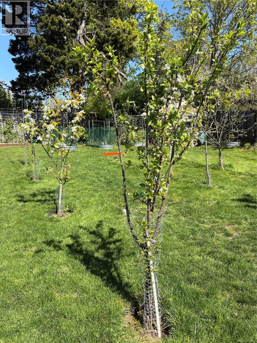 6716 Ayre Rd, Sooke, British Columbia  V9Z 0H1 - Photo 31 - 1013137