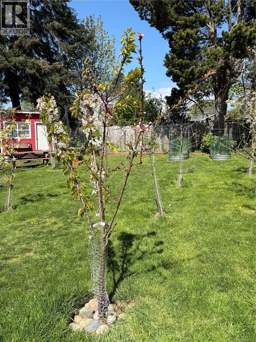 6716 Ayre Rd, Sooke, British Columbia  V9Z 0H1 - Photo 33 - 1013137