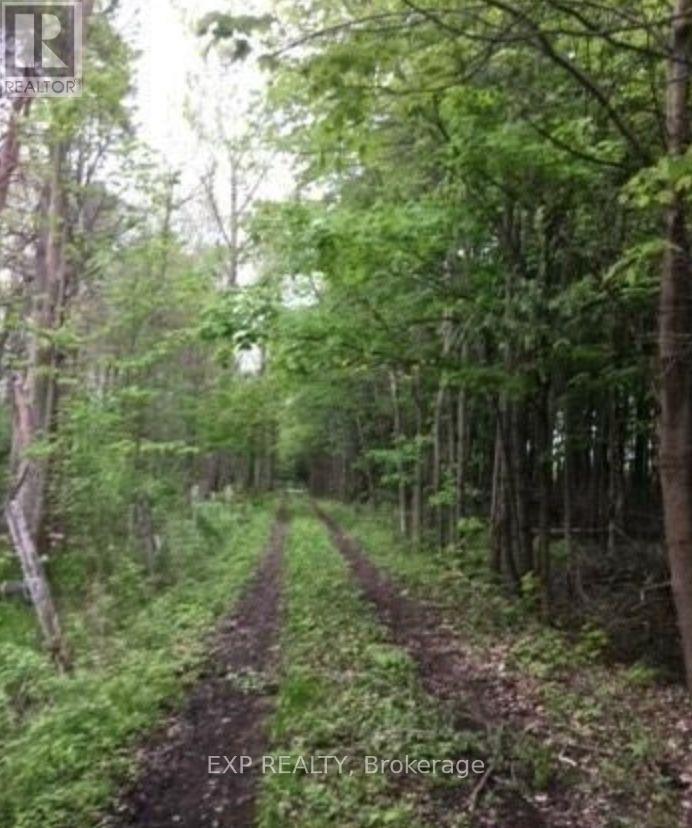 1049 Sandringham Road, Kawartha Lakes, Ontario  K0M 2T0 - Photo 5 - X12678762