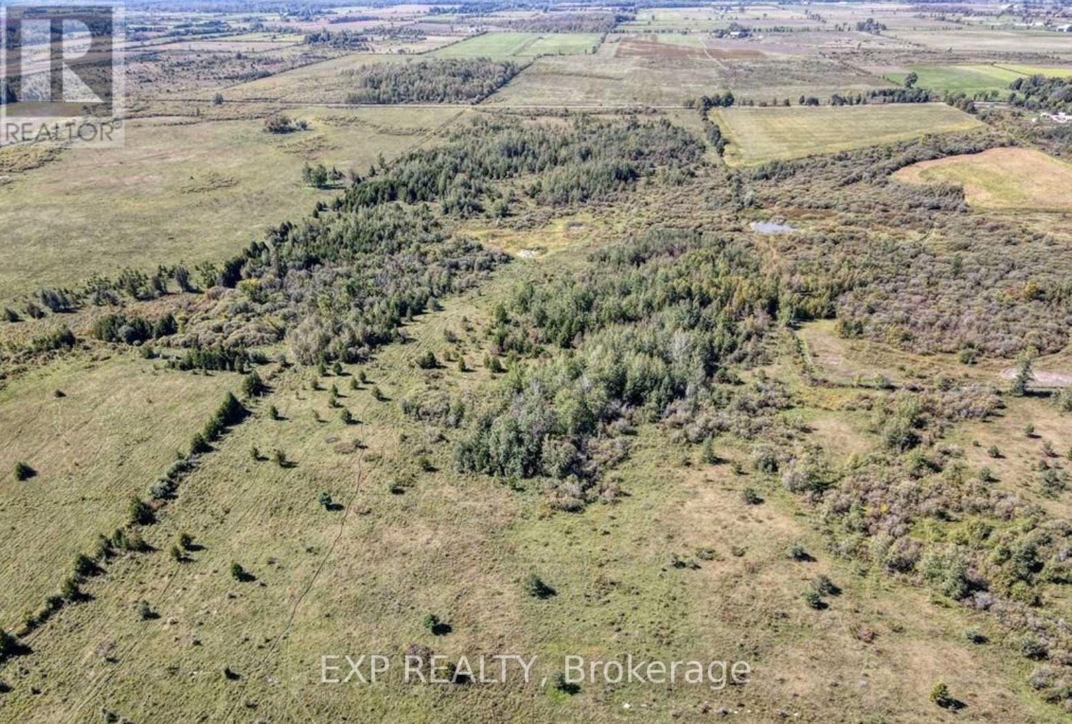 1049 Sandringham Road, Kawartha Lakes, Ontario  K0M 2T0 - Photo 6 - X12678762