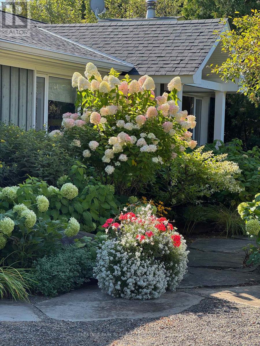 16249 Shaws Creek Road, Caledon, Ontario  L7C 1V9 - Photo 5 - W12678988