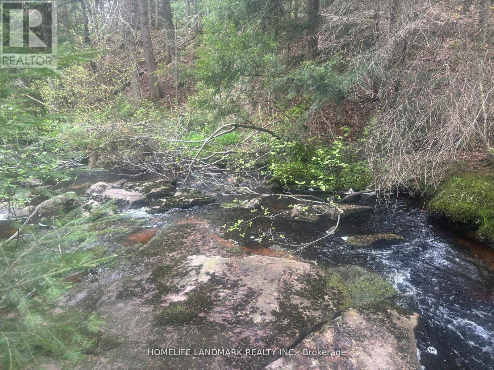 1995 Bear Cave Road, Muskoka Lakes, Ontario  P0C 1J0 - Photo 16 - X12679080